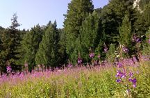Private Trekking in Rila Mountains and Mt Mousala from Sofia
