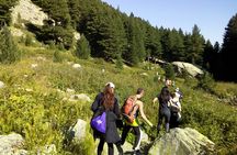 Private Trekking in Rila Mountains and Mt Mousala from Sofia