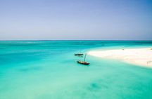 Half-Day Dolphin & Snorkeling Tour in Mnemba Island Zanzibar