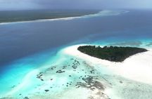 Half-Day Dolphin & Snorkeling Tour in Mnemba Island Zanzibar