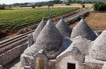 Private Wine Tour from Ostuni with Lunch including Alberobello and Locorotondo