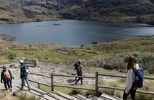 Private Trekking Full-Day Tour at Cajas National Park