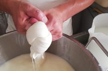Private Cheese Making Tour in Valle d'Itria with Tastings