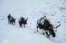 Everest Base Camp Trek