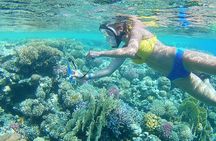Carnival Super Snorkeling Full Day Hurghada
