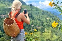 8 Days Guided Cultural Small Group Tour of Sri Lanka