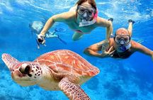 Blow Lagoon Bali Snorkeling and see Bali Bats Cave Temple