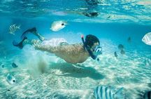 Blow Lagoon Bali Snorkeling and see Bali Bats Cave Temple