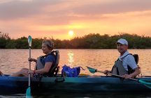 Thousand Islands Mangrove Tunnel Sunset Kayak Tour with Cocoa Kayaking!