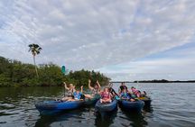 Thousand Islands Mangrove Tunnel Sunset Kayak Tour with Cocoa Kayaking!