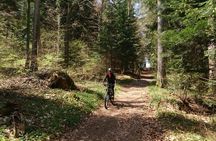 Electric mountain biking in Annecy