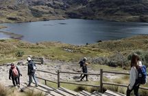 Shared Cajas National Park Full Day Tour