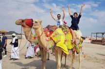 Desert Safari Adventure 4 hours from Doha with Pickup