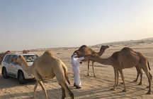 Desert Safari Adventure 4 hours from Doha with Pickup