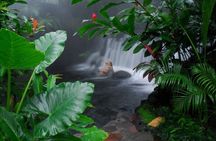 Tabacon Resort and Arenal Volcano Fortuna Waterfall from San José