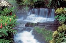 3-Days Arenal Volcano Tabacon Resort -Monteverde - Manuel Antonio