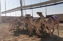 Half-Day Private Guided Camel Race Tour in Qatar