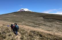 Chimborazo Volcano and Condor Cocha Lagoon Day Tour