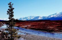 Fairbanks to Denali Shuttle Service