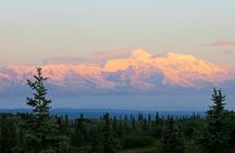 Fairbanks to Denali Shuttle Service