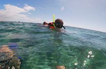 Guided Tour of Puerto Morelos Reefs with Snorkeling Experience