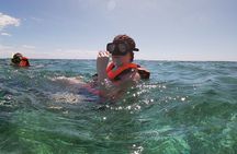 Guided Tour of Puerto Morelos Reefs with Snorkeling Experience