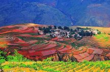 Private Dongchuan Red Land Sightseeing Day Tour from Kunming