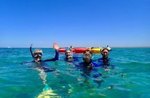 Turtle Tour - Ningaloo Reef Half Day Sea Kayak and Snorkel Tour