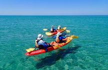 Turtle Tour - Ningaloo Reef Half Day Sea Kayak and Snorkel Tour