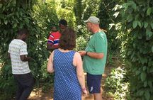Spice Farm Tour and Jozani Forest Private Tour in Zanzibar