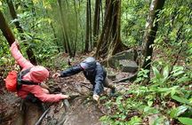 A Rendezvous with Nature - Templer Park and Kanching Waterfall Tour