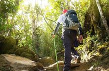 A Rendezvous with Nature - Templer Park and Kanching Waterfall Tour