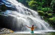 A Rendezvous with Nature - Templer Park and Kanching Waterfall Tour