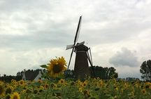 Eindhoven: E-Fatbike Tour In The Footsteps of Vincent van Gogh
