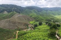 4-Day Cameron Highland and Penang Tour from Kuala Lumpur 