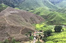 4-Day Cameron Highland and Penang Tour from Kuala Lumpur 