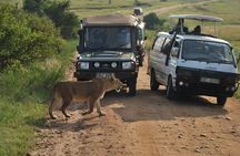 Nairobi Airport Layover Half Day Tour to Nairobi National Park
