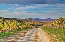 Full-Day Tokaj UNESCO World Heritage Site Private Wine Tour