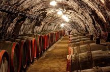 Full-Day Tokaj UNESCO World Heritage Site Private Wine Tour
