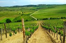 Full-Day Tokaj UNESCO World Heritage Site Private Wine Tour