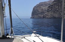 Whale Watching for 3 hours in Tenerife