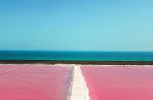 Gorgeous Natural Pink Lake, Las Coloradas Tour! From Cancun & Riviera Maya