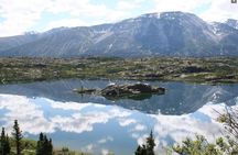 Skagway Shore Excursion: Yukon Dog Sledding and Sightseeing Tour