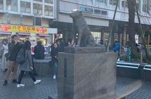 Tokyo Food and Culture tour (Shibuya and Harajyuku)