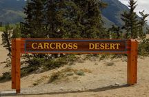 Skagway Shore Excursion: Yukon Discovery Tour