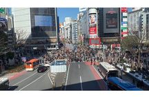 Tokyo Food and Culture tour (Shibuya and Harajyuku)