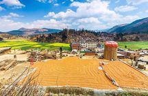 Kunming Private Day Tour to Stone Forest and Chengzi Ancient Town