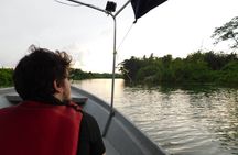 Klias Wildlife Safari River Cruise - Proboscis Monkey & Fireflies