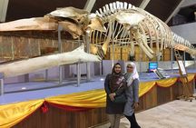 Kota Kinabalu City Day Tour & Filipino Market Shopping