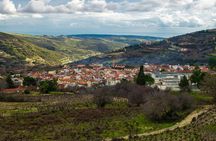 Village Venture: Troodos Mountains Food & Wine Small Group Day Tour